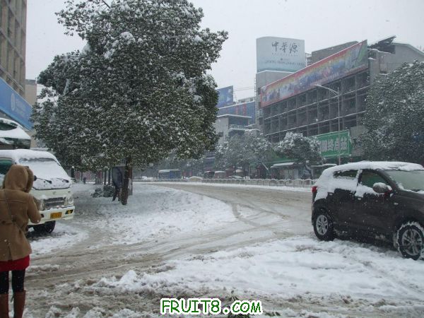 2011012006.JPG