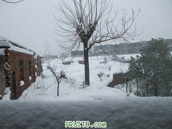 2011012001.JPG