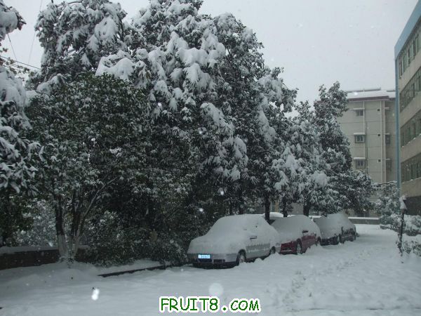 2011012003.JPG