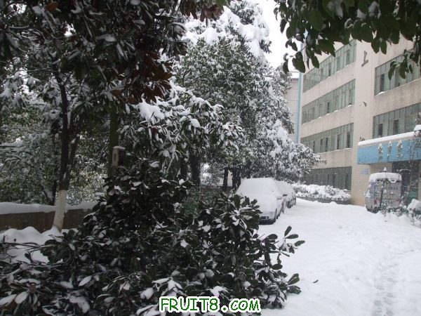 2011012004.JPG