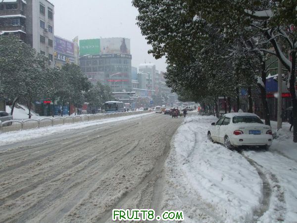 2011012007.JPG