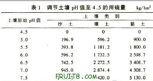 1212.jpg