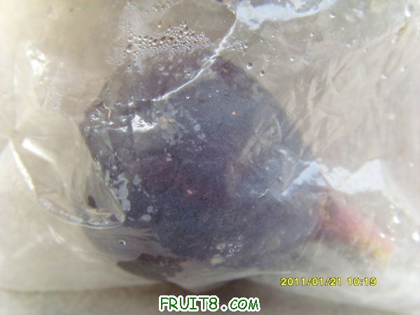 SI859955.JPG
