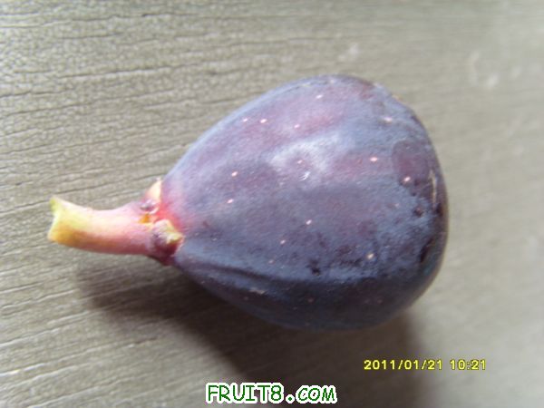 SI859962.JPG