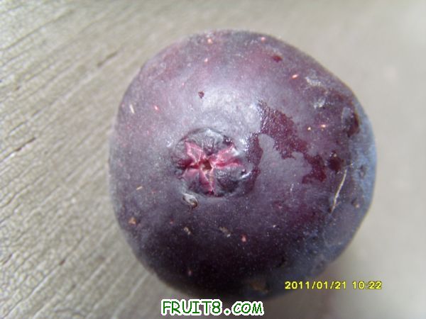 SI859965.JPG