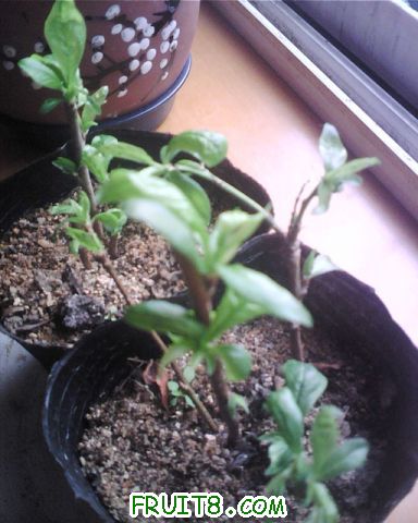 0213_105008.jpg