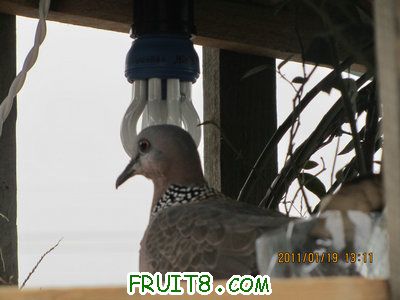 IMG_7907.JPG