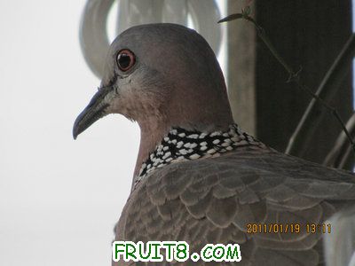 IMG_7908.JPG