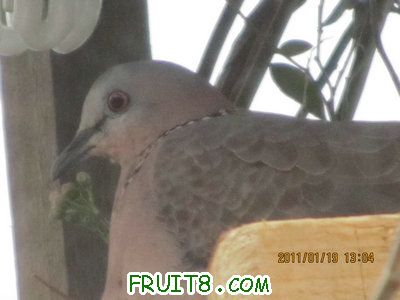 IMG_7901.JPG