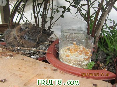 IMG_8095.JPG