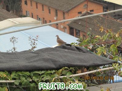IMG_8172.JPG