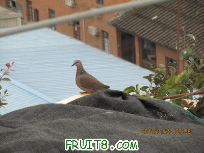 IMG_8173.JPG