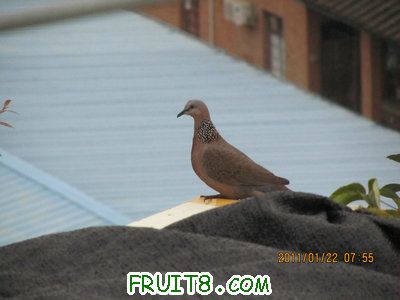 IMG_8170.JPG