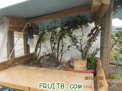 IMG_8324.JPG