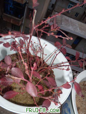 DSCN0029.JPG