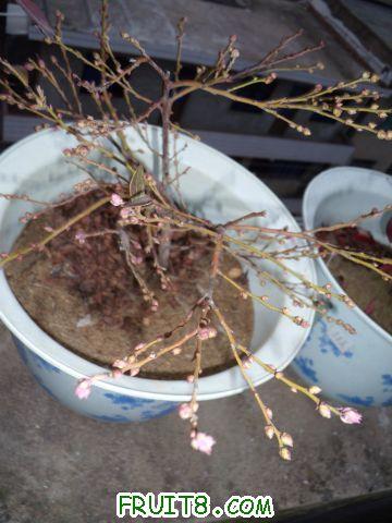 DSCN0028.JPG
