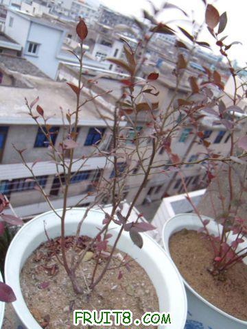 DSCN0031.JPG