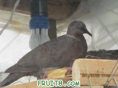IMG_8378.JPG