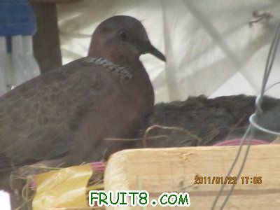 IMG_8380.JPG