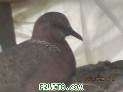 IMG_8381.JPG