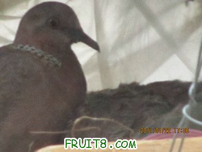 IMG_8383.JPG