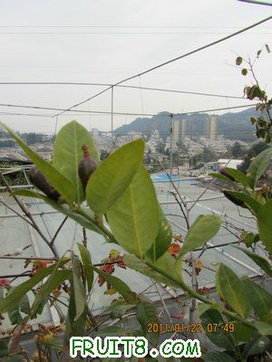 IMG_8137.JPG