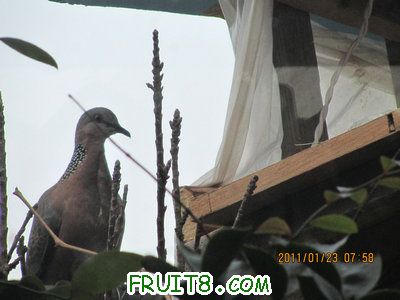 IMG_8385.JPG