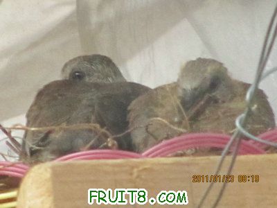 IMG_8389.JPG