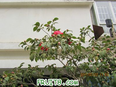 IMG_8300.JPG
