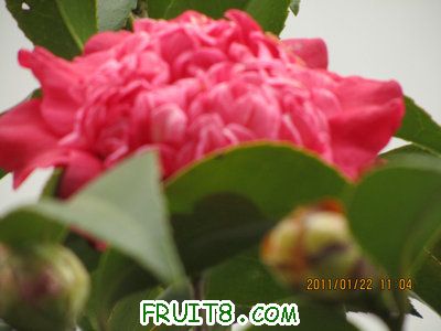 IMG_8302.JPG