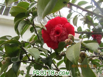 IMG_8301.JPG