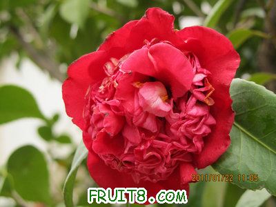 IMG_8307.JPG