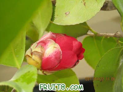 IMG_8316.JPG