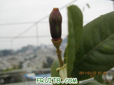 IMG_8121.JPG