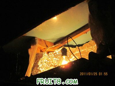 IMG_8627_1.JPG