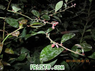 IMG_8626_1.JPG
