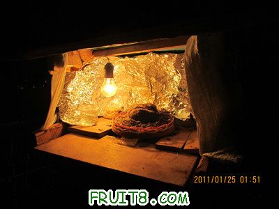 IMG_8618_1.JPG