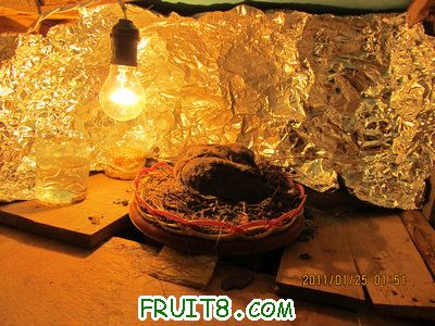 IMG_8619_1.JPG