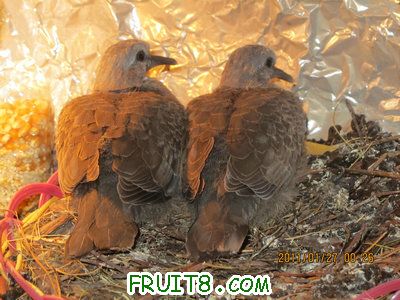 IMG_8912.JPG