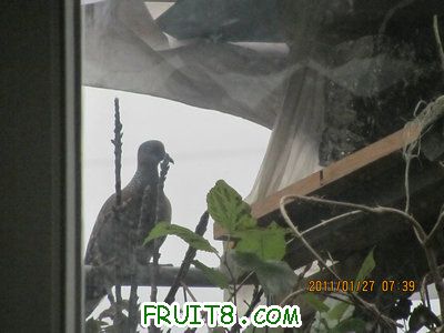 IMG_8932.JPG
