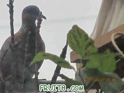 IMG_8934.JPG