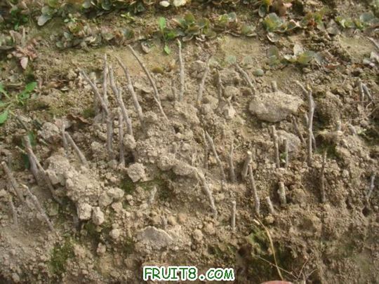 Resize of DSC04840.JPG