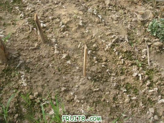 Resize of DSC04841.JPG