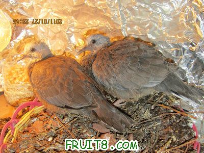 IMG_9067.JPG