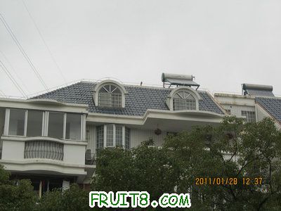 IMG_9109.JPG
