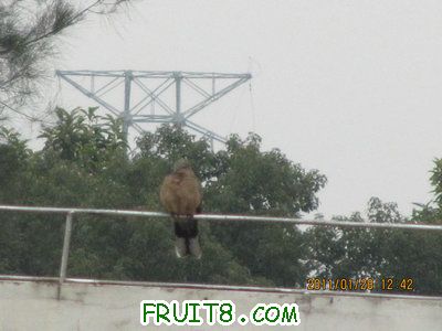 IMG_9114.JPG