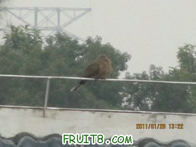 IMG_9147.JPG