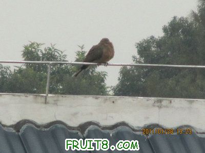 IMG_9149.JPG