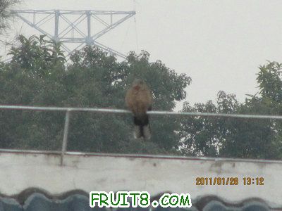 IMG_9124.JPG