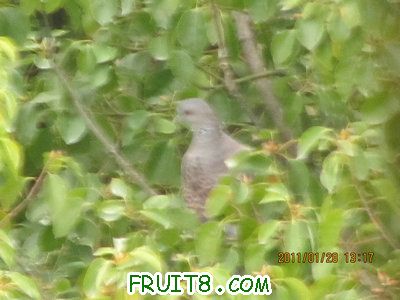 IMG_9134.JPG